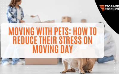 Moving with Pets: How to Reduce Their Stress on Moving Day